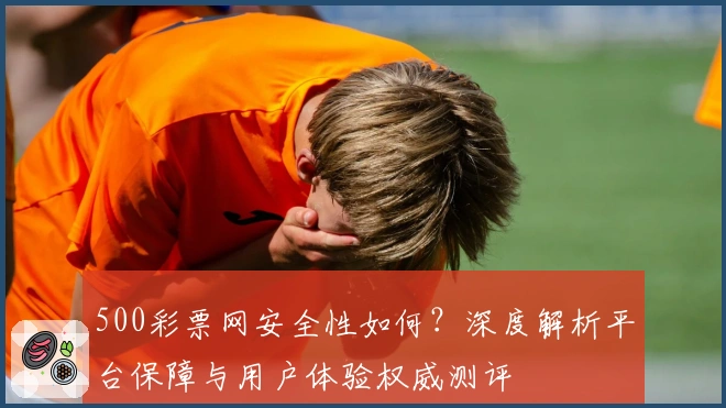 500彩票网安全性如何？深度解析平台保障与用户体验权威测评