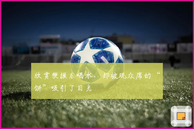 欣赏樊振东喝水，却被观众席的“饼”吸引了目光