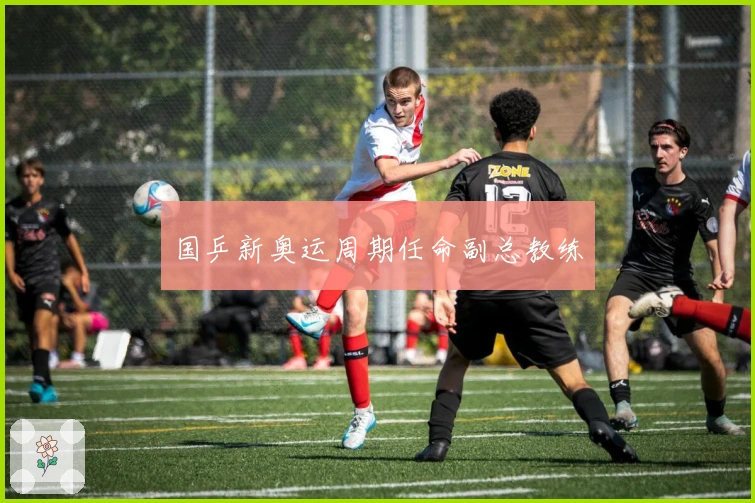 国乒新奥运周期任命副总教练